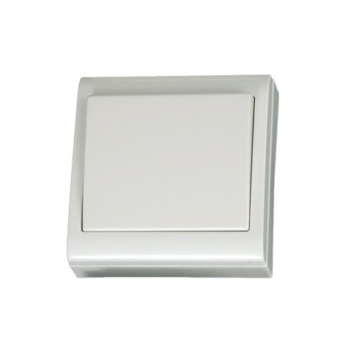 INTERRUPTOR BIPOLAR SUPERFICIE 80X80MM BLANCO 10A 250V - GSC