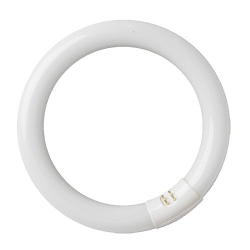 TUBO FLUORESCENTE CIRCULAR T9 32W G10Q - GSC