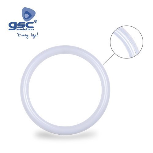 TUBO CIRCULAR LED T9 18W G10Q 6500K - GSC