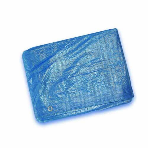 TOLDO POLIETIENO AZUL 2X3M - GSC