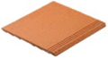 PELDAÑO 25X33X2 INTERIOR GRES NATURAL - GDB