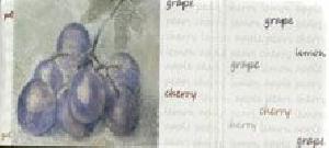 CENEFA RUSTICO 5X15 GRAPE - BOT