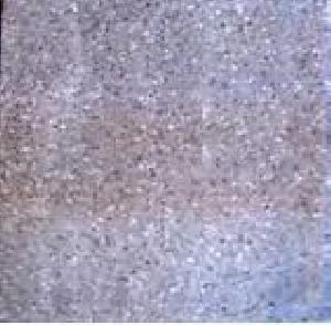 PAVIMENTO 20X20 GRANITO CERAMICA G.308 - LUX